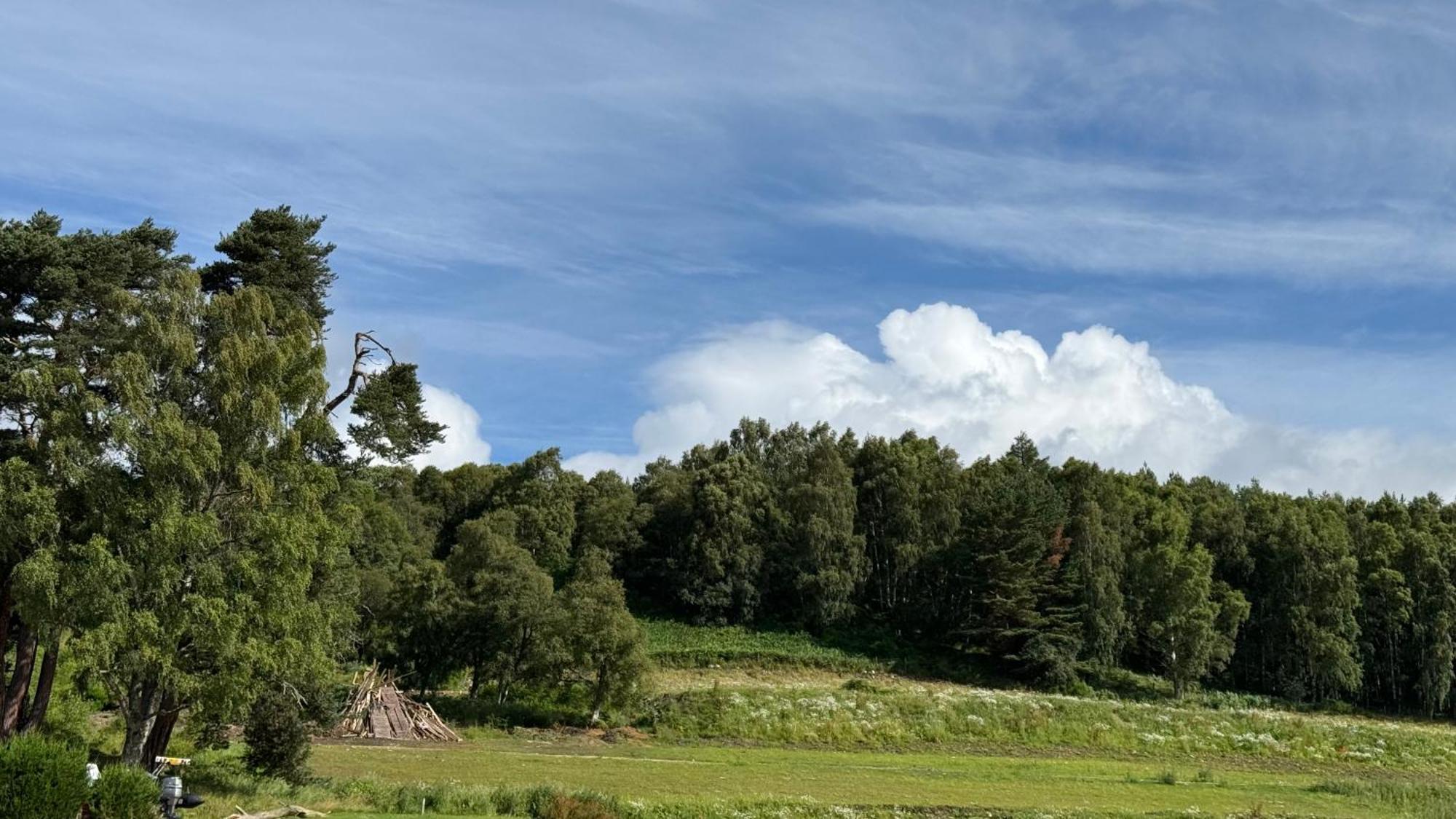 Wildcat Lodge Grantown On Spey エクステリア 写真